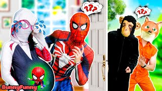I'm So Sorry Wife ... When White spiders are pregnant - Spider-Man In Real Life  || BunnyFunny