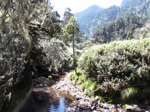 Mountains of the Moon - Weismann Ascent