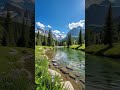 AI nature #shorts #viral #peaceful
