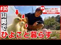 【密着】山奥の古民家に移住した25歳の豊かな暮らし。【#30】