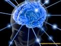 The Origin of Intelligence