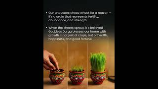 Why We Sow Wheat in Navratri? 🌱 Jawaray, Ayurveda &amp; Hidden Wisdom Explained | Navratri Rituals