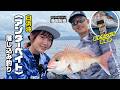 巨大カンパチ回遊中!白浜沖アンダーベイト/落し込み釣り