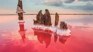 Розовое озеро.