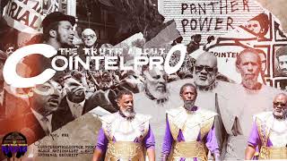 Let's Talk Truth | The Truth About COINTELPRO