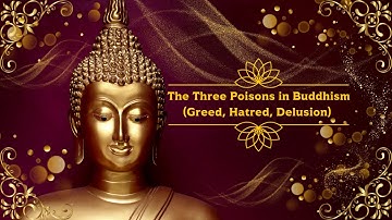 The Three Poisons in Buddhism Explained: Greed, Anger, and Ignorance