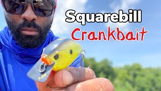 How to Retrieve a Squarebill Crankbait
