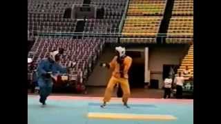 Bagua "Pyan" full contact fighting application screenshot 1