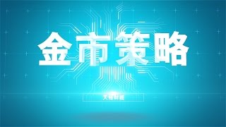 20161109 金市策略 奪命金 (附簡體字幕)