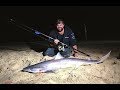 How to catch Landbased Sharks on the surf beach in Mallacoota, Oz Fish TV