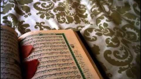 سورة النصر بصوت الشيخ ناصر القطامي (صوت يمس القلوب)