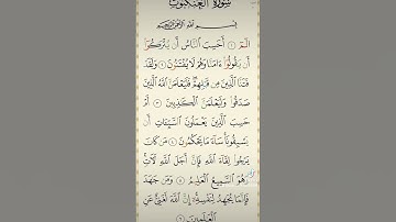 سورة العنكبوت بصوت الشيخ مشاري راشد