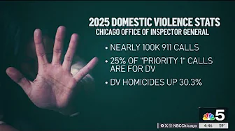 Chicago, Cook County team for domestic violence aid task force