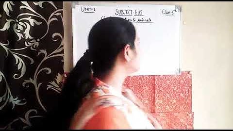 Class 3 EVS Revision Unit 1 Video 1