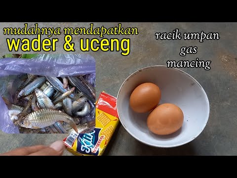 Cara Bikin Umpan Roti Klik