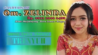 Trenyuh - Nancy Casia (Nanco) Cover By  Om. ZELINDA // Budi Mulyo Audio // HVS SRAGEN HD FULL HD