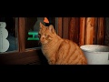 Canon 70D - Magic Lantern RAW - Slider