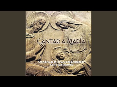 Venid Y Vamos Todos Con Flores A María Canciones Religiosas Letras Com