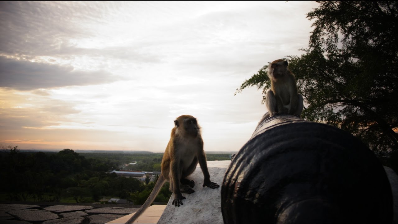 Pencemaran Alam Sekitar Hubungan Etnik - YouTube