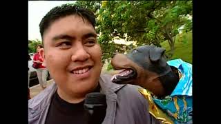 Triumph the Insult Comic Dog - American Idol Audition Part 1