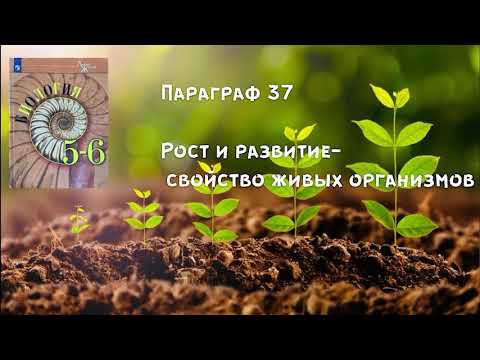 Биология 6 класс (Пасечник) Параграф 37 « Рост и развитие - свойство живых организмов» аудио