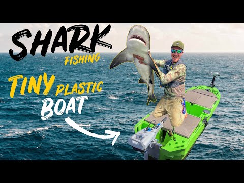 Shark Fishing in plastic boat  #sharkweek #sharkencounter #shark — KayakDIY on YouTube