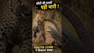 Leopard Ne Kar Di Sabse Badi Galti 😱#shorts #animals