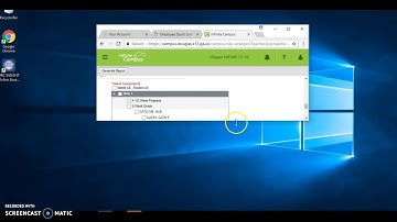 Printing a Gradebook Report in Infinite Campus