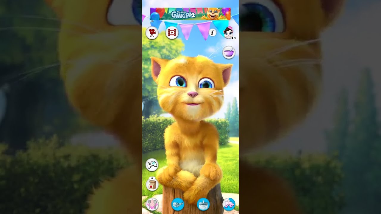 Talking Ginger 5 Shorts