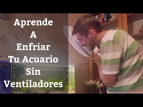 Video: Cómo Enfriar Un Acuario