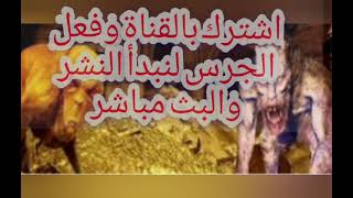 كيف استخراج الكنوز و الذهب بدون حفر و حقيقة الأمر