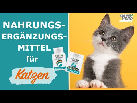 Video: Nahrungsergänzungsmittel Für ältere Katzen - Nahrungsnuggets Katze