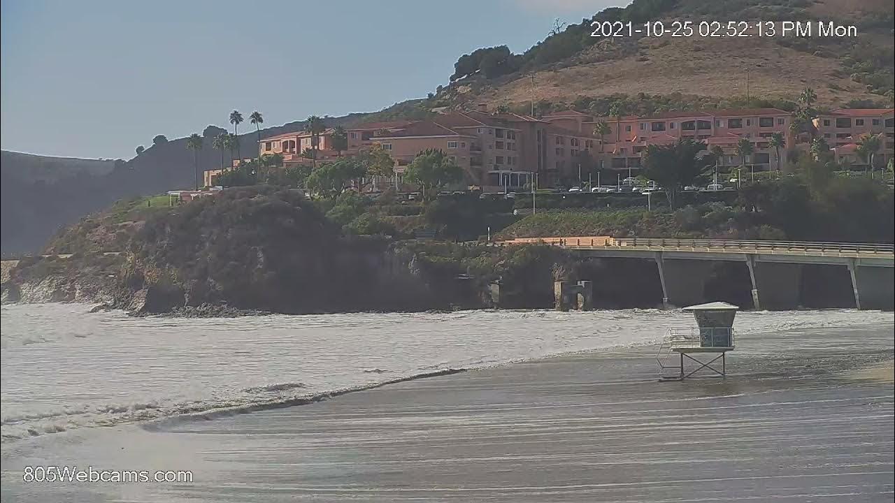 Avila Beach Dog in waves 805 cams Recap YouTube