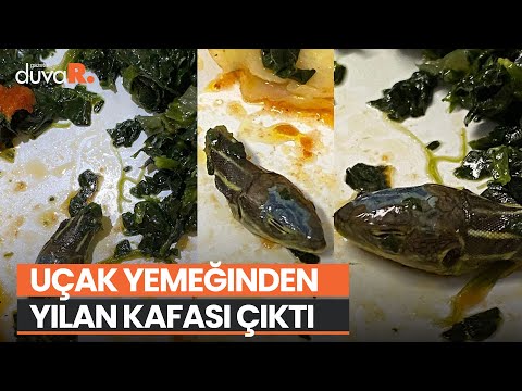 Uçak yemeğinden yılan kafası çıktı