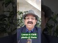 Lemon & Chilli Plants #vastuforhome #shorts #youtube #youtuber #trending #vastushastra #vastutips