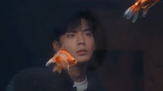 畢雯珺 (Bevan Bi WenJun) - 黑金魚 (Black Goldfish)(電視劇《深情眼》插曲) Deep Affection Eyes OST