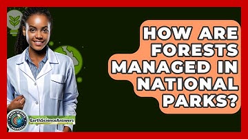 How Are Forests Managed In National Parks? - Earth Science Answers