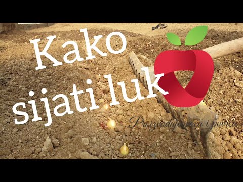 Video: Kako posaditi cvijeće Tasbih (sa slikama)