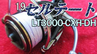 エギング用リールとして「19セルテート LT3000-CXH-DH」を使ってみたら相性抜群だった件。使用感をお伝えします。インプレ動画。