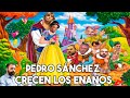 PEDRO SÁNCHEZ - HERMANO IMPUTADO