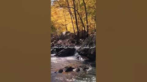 سورة الأنفال الشيخ إبراهيم كشيدان