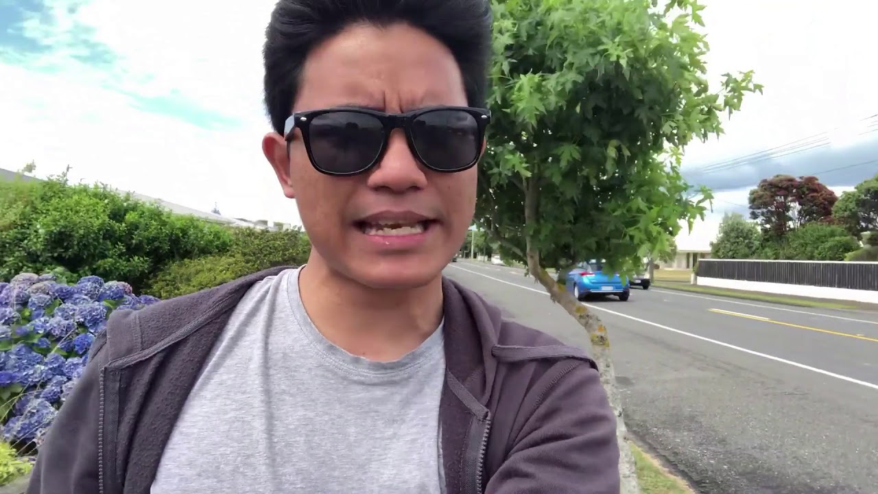 2018 New Year in New Zealand | Cruising around Hawera