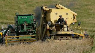 Claeys M103 Harvesting in Northern Denmark