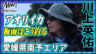 マイスター直伝！梅雨アオリ対策 1/2『SOUL JERKER 10 川上英佑×愛媛県南予エリア』イントロver【釣りビジョン】その➀
