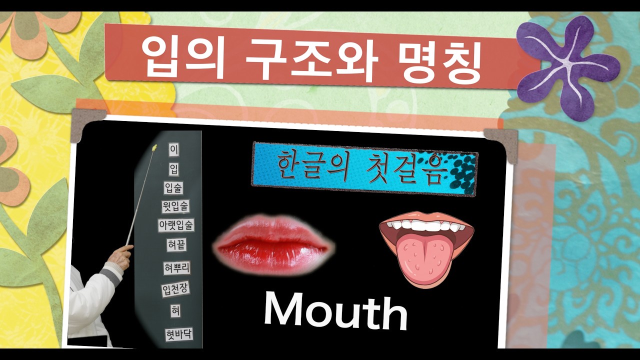 [Basic Korean, 한국어 기초 ] Structure and Names of the Mouth(입의 구조와 이름 ...