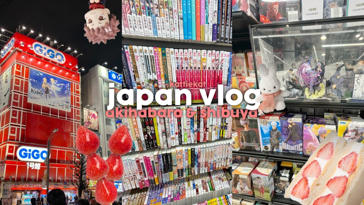 Японский видеоблог ౨ৎ День в Акихабаре и Сибуе, МНОГО покупок аниме-фигурок, radiokaikan