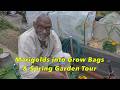 Thriving Plants, Planting Sweet Potatoes, Fertilizer Mixing & Fermenting Wood Ash