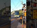 【鹿児島市電7003号】【新川4号踏切】を通過します。 #shorts #路面電車 #tram