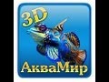 3D аквариум ПЯТОЕ МЕСТО