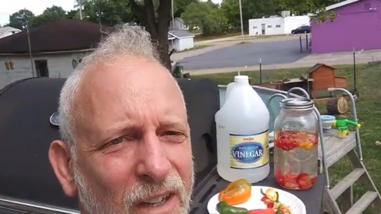 Harvested and store Hot Peppers YouTube